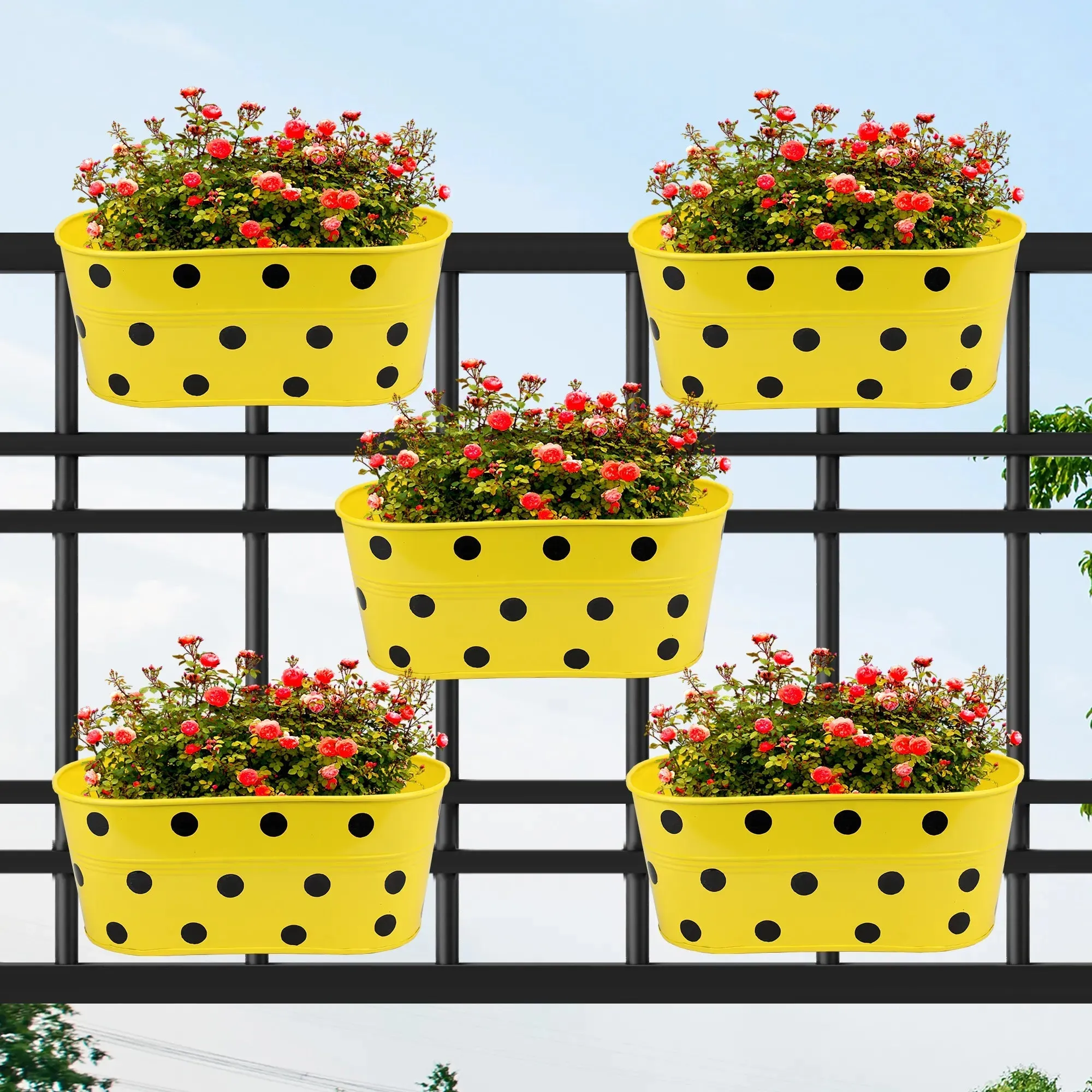 Ovela Hanging Planter - (Set of 5)