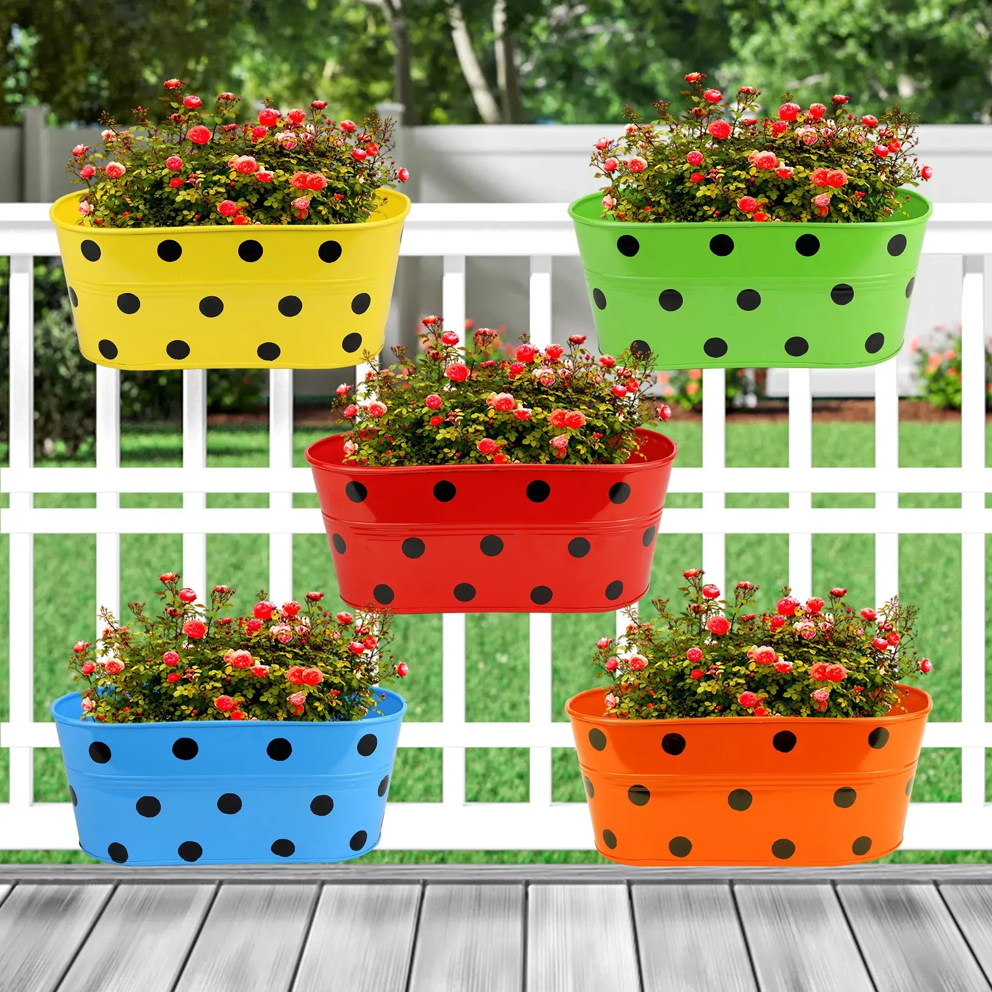 Ovela Hanging Planter - (Set of 5)